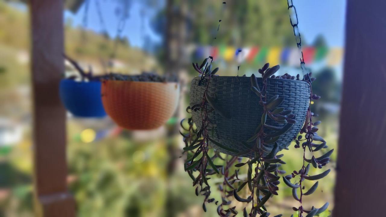 Tenzo Homestay Bomdila Exteriér fotografie